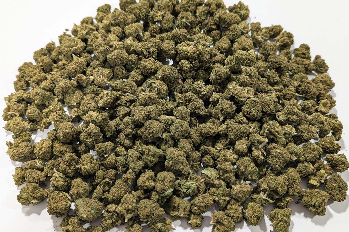 Fleurs de CBD WHITE WIDOW  - 50 grammes => 50 euros